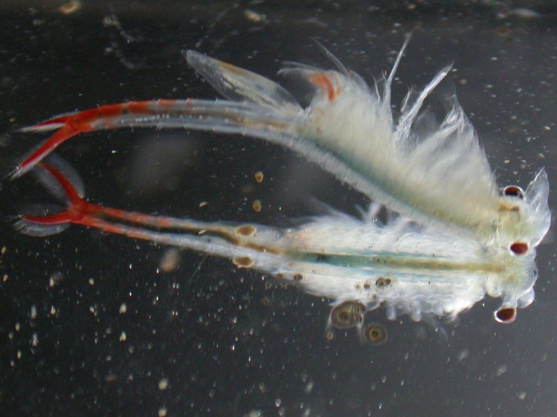 20070505_163702.JPG
