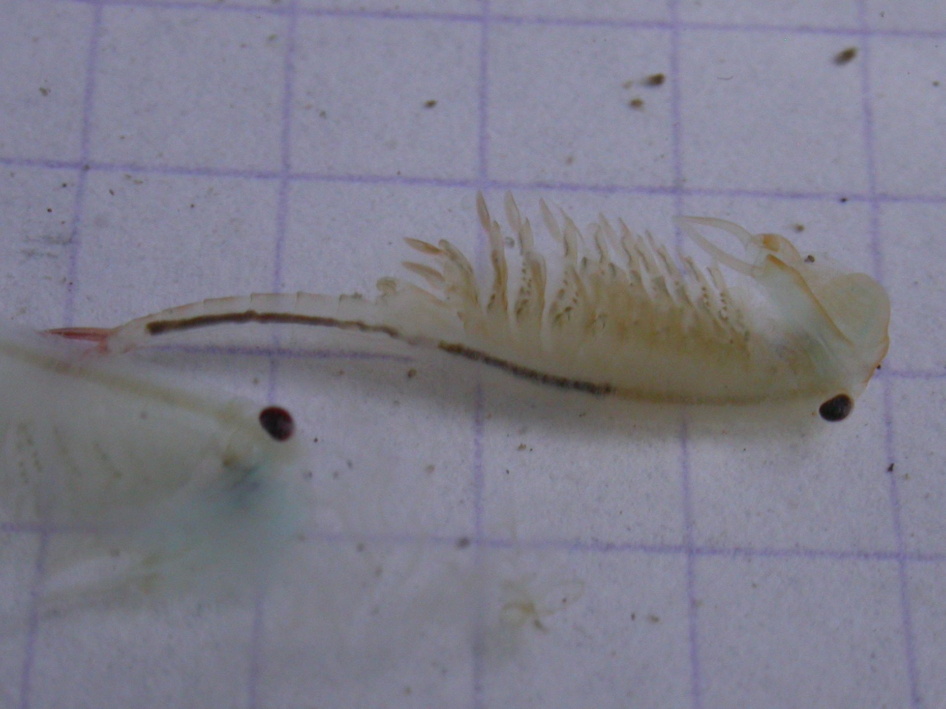 20070505_172725.JPG