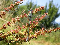 20060715_163540.JPG