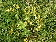 20070622_191042.JPG