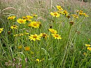 20070622_191118.JPG