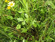 20070622_191126.JPG