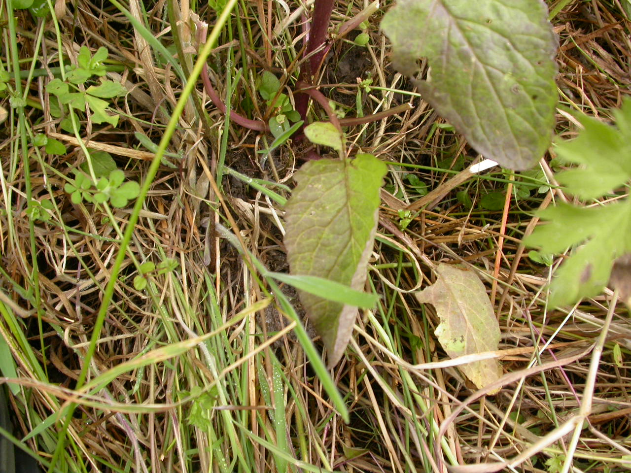 20070630_121200.JPG