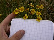 20070630_121528.JPG