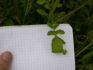 20070630_121658.JPG