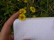 20070630_121722.JPG