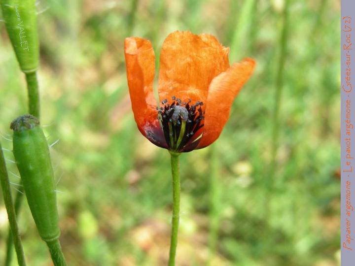 20070505_150447.jpg