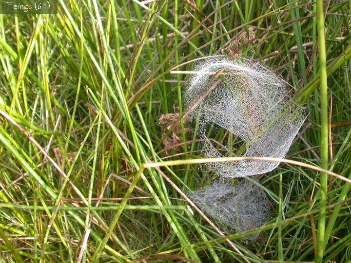 20071014_113638.jpg