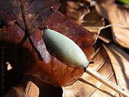 20070311_155248.jpg