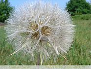 20070505_141721.jpg