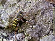 20070603_101131.jpg