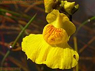 20070825_143433.jpg