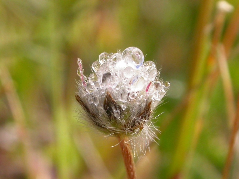 20070328_091952.jpg