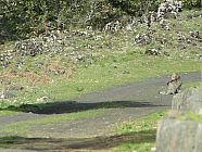 20070402_152806_jv.jpg