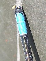 20090628_112451.JPG