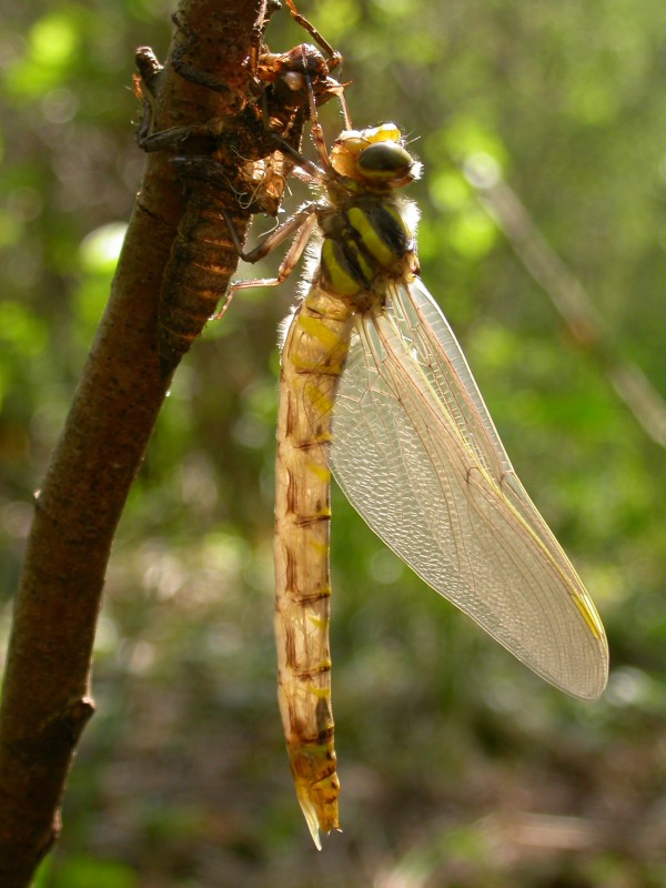 20070425_122301.JPG