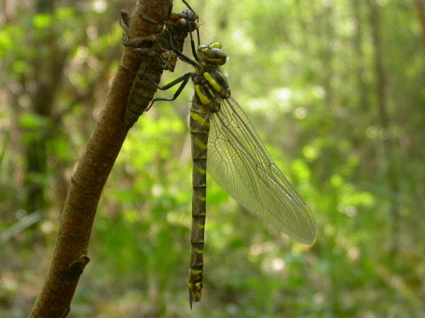 20070425_132218.JPG