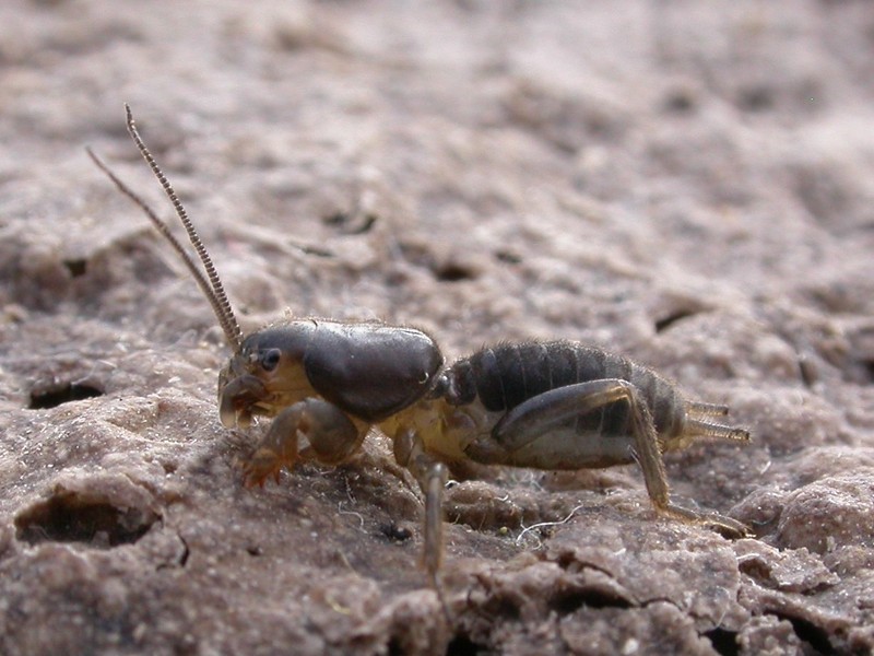 20090629_184139.JPG