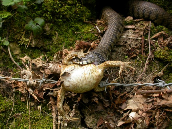 20070425_151746.JPG