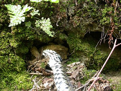 20070425_150318.JPG