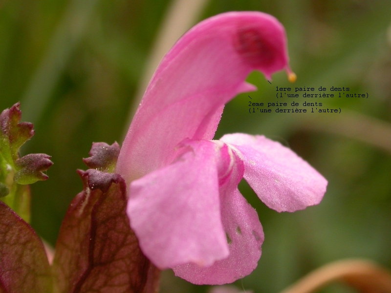 20090509_125954.JPG