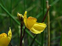20090628_121422.JPG