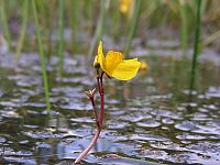 20090628_121539.JPG