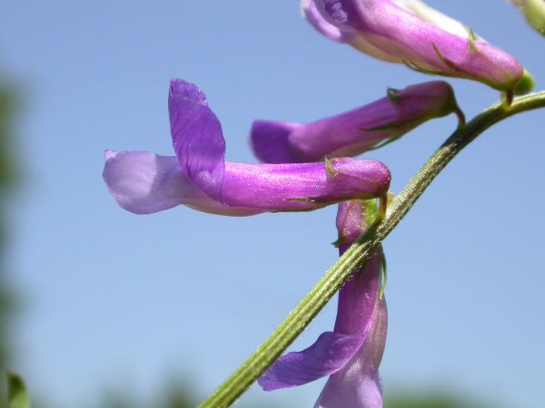 20060715_121233.JPG