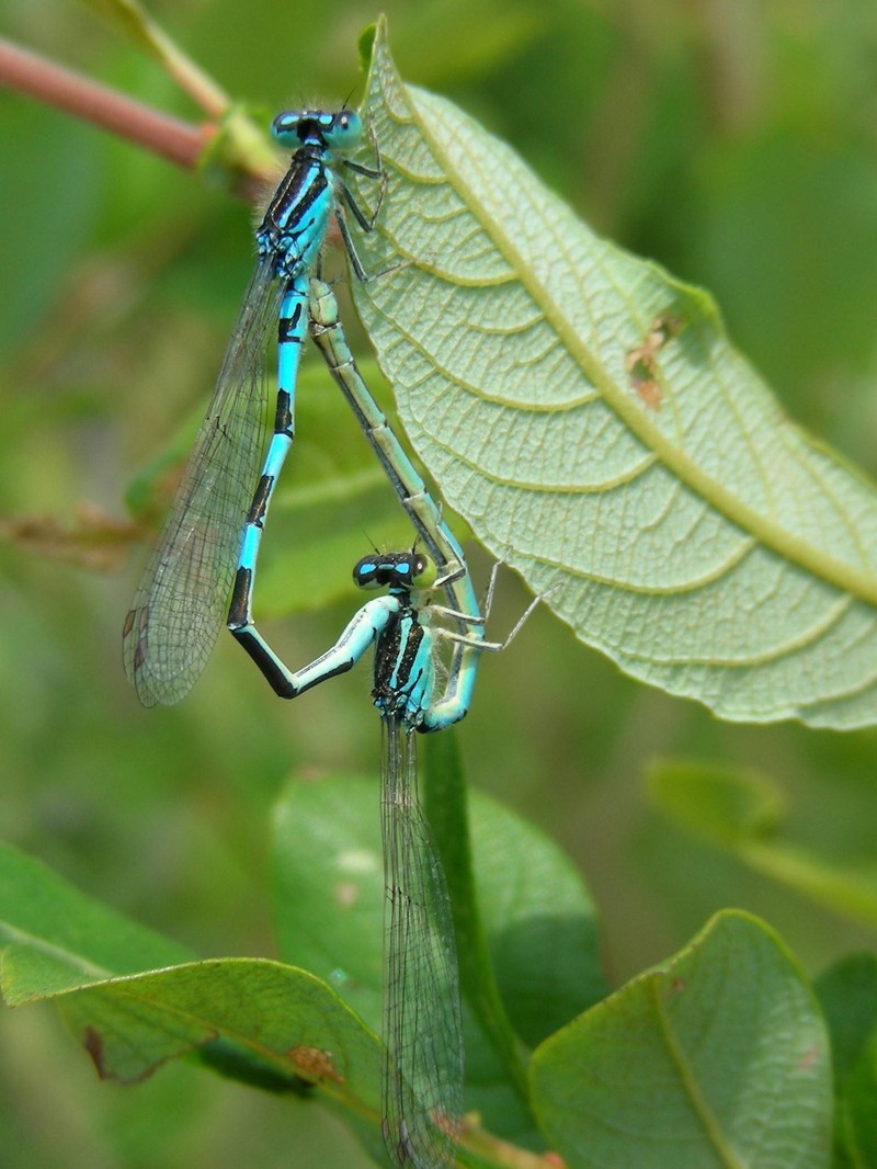 20090628_115426.JPG